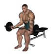 EZ Bar Curl - Seated Wide Grip